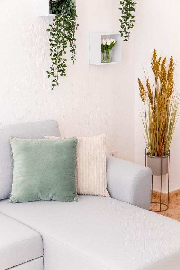 Apartmán Piso En El Centro Torrevieja Exteriér fotografie